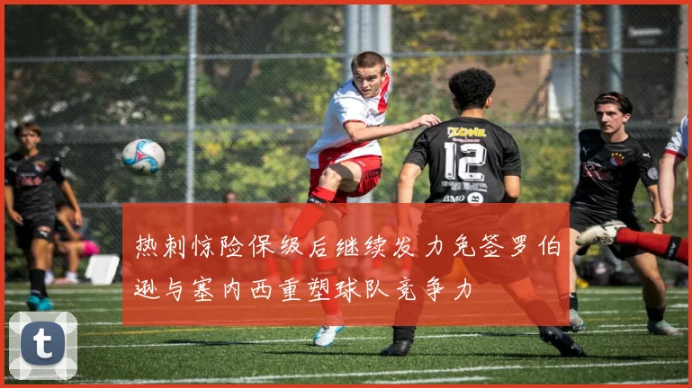 热刺惊险保级后继续发力免签罗伯逊与塞内西重塑球队竞争力