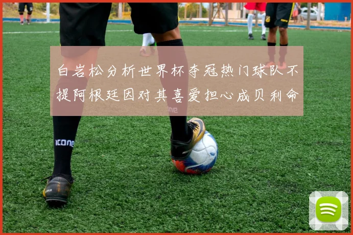 白岩松分析世界杯夺冠热门球队不提阿根廷因对其喜爱担心成贝利命运