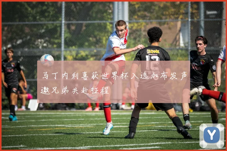 马丁内利喜获世界杯入选加布发声邀兄弟共赴征程